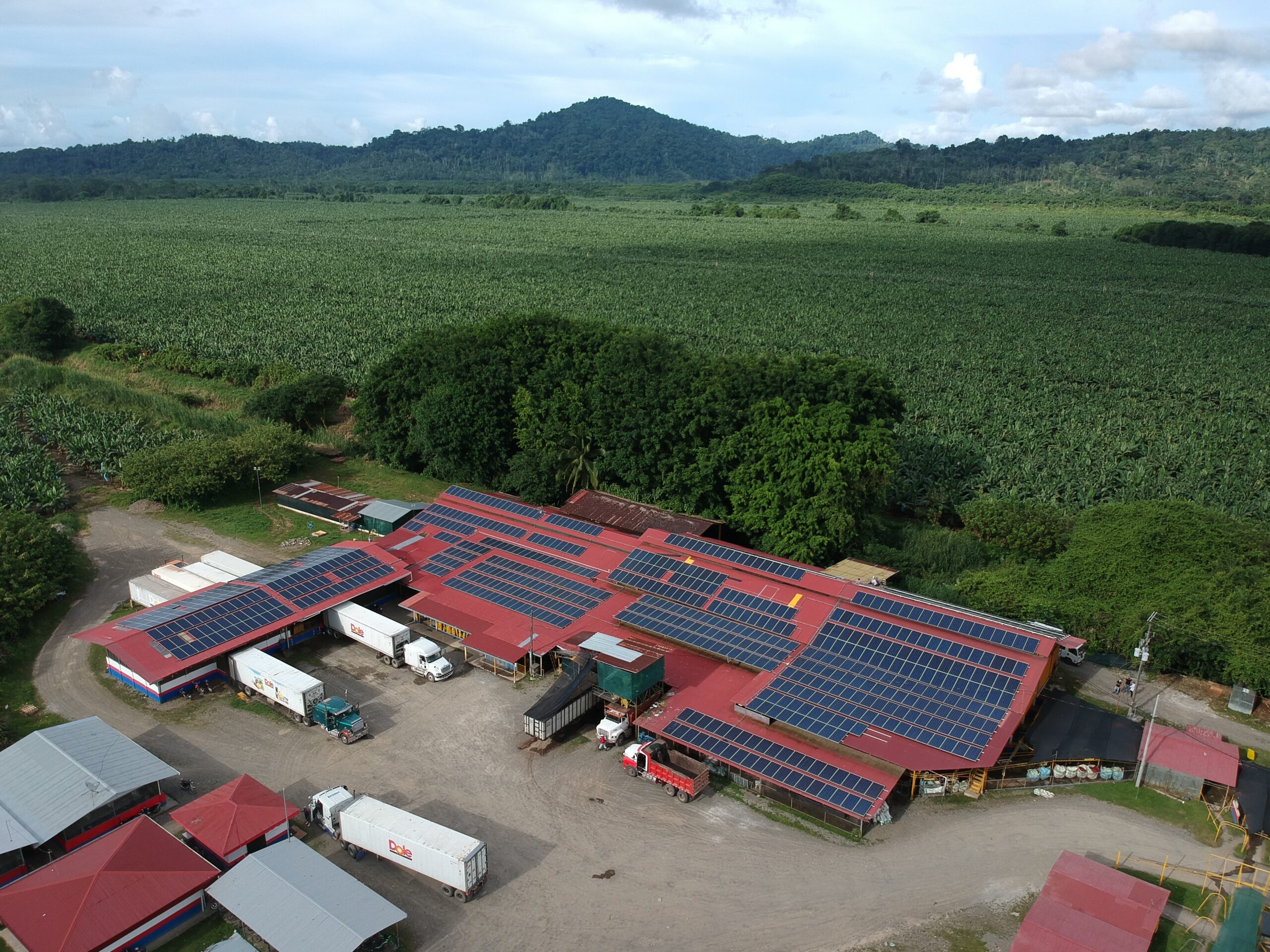 paneles solares paneles solares